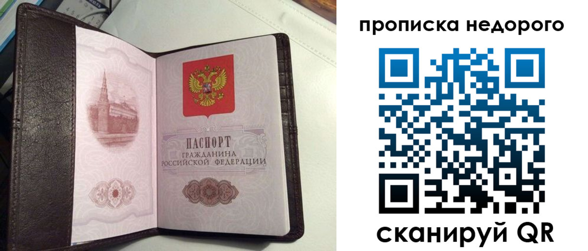 найти адрес прописки в Дмитрове