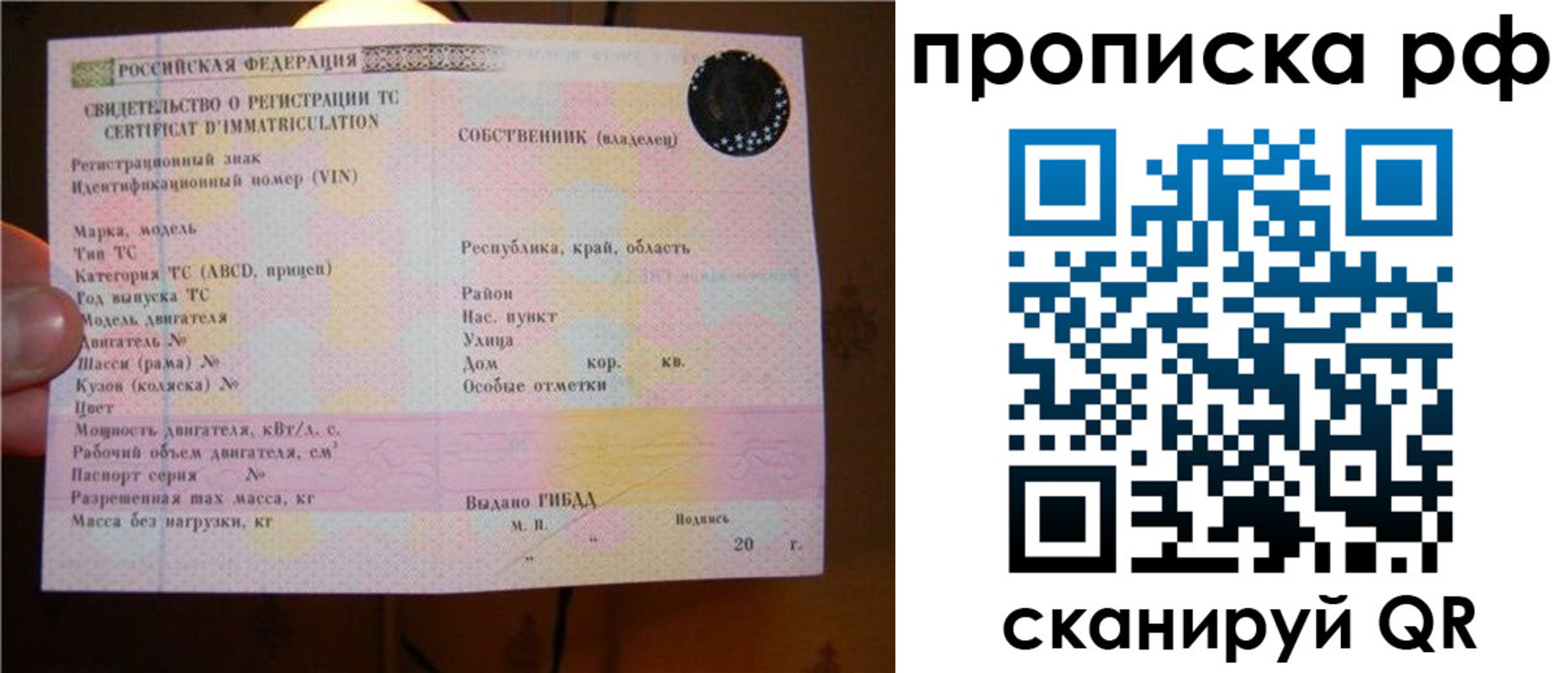 регистрация для школы в Дмитрове